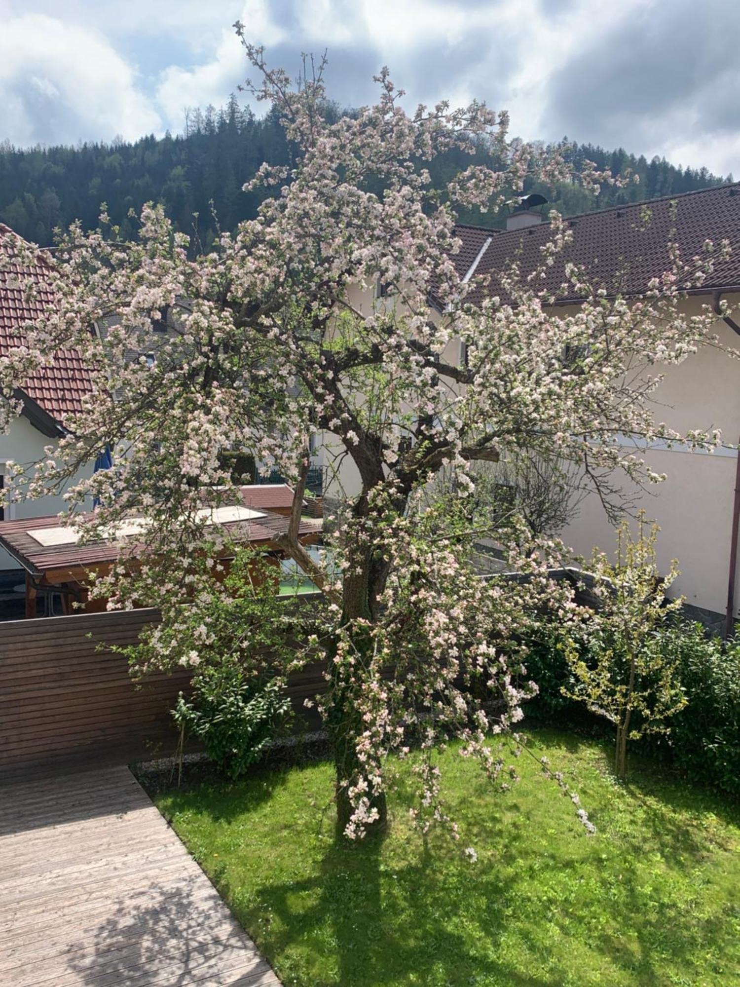 Aspang Markt Haus Zwei 아파트 외부 사진